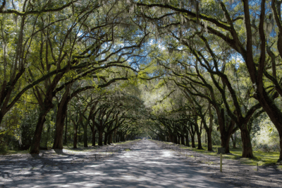 We serve South Georgia including Savannah Augusta Valdosta Macon Warner Robbins