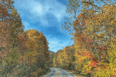 We serve North Georgia including Athens Gainesville Dalton Rome Woodstock Canton Kennesaw Sugar Hill Cumming Winder