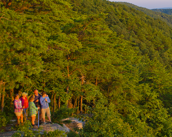 Georgia Families Can Explore Events Around Georgia