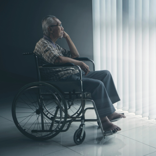 Elder Abuse And Neglect
